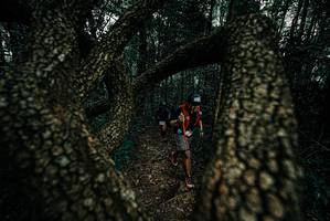 BIB: 
                            <button type="button" onclick="openModal(25691035)" class="btn btn-primary btn-sm float-right btn-popup" data-toggle="modal" data-target=".modal-high-quality">
                        <i class="fas fa-shopping-cart"></i> Add to Cart
                    </button>
                                            <button type="button" onclick="isThisMe(25691035, true)" class="btn btn-success btn-sm float-right btn-popup btn-isme hidden" data-toggle="tooltip" data-placement="bottom" title="นี่คือรูปของคุณใช่ไหม คลิกที่นี่เพื่อเอาเข้าอัลบั้ม">
                        <i class="fas fa-plus"></i> Add to album
                    </button>
                    <button type="button" onclick="isThisMe(25691035, false)" class="btn btn-warning btn-sm float-right btn-popup btn-isnotme hidden">
                        <i class="fas fa-ban"></i> Remove from album
                    </button>